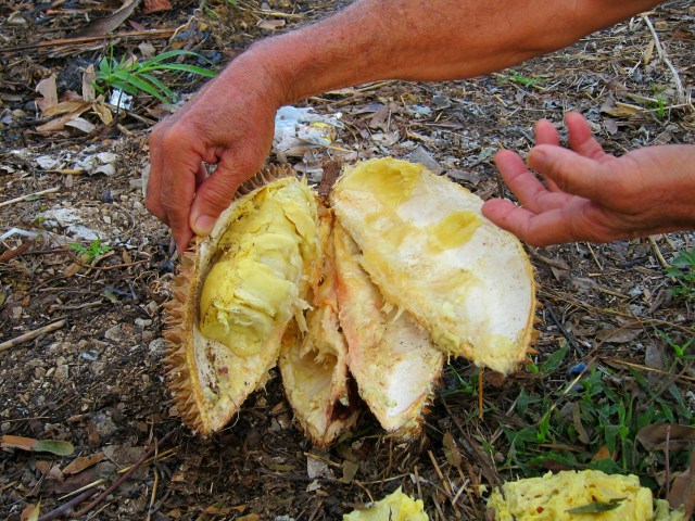 IMG_20130101_154025.jpg image