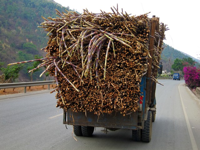 Sugarcane truck