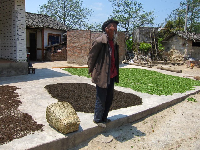 Kung fu master or tea farmer?