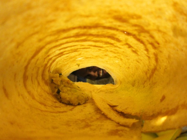 Hari at the end of the dosa