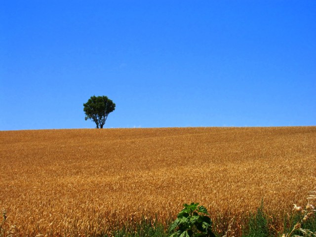 New Windows desktop screensaver