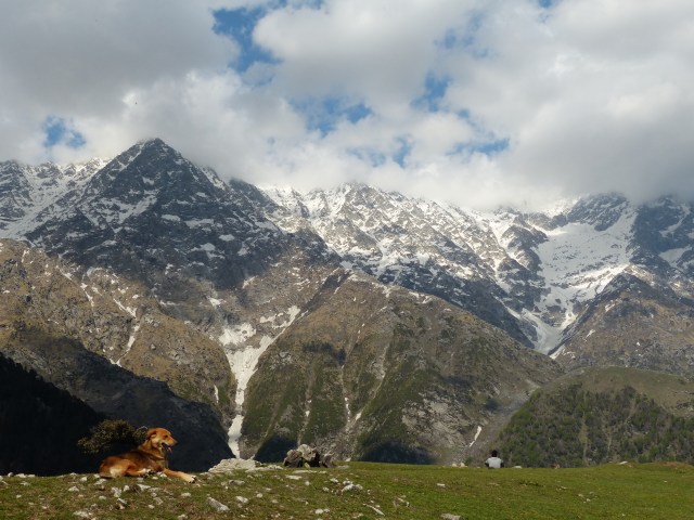 The mountains at the top