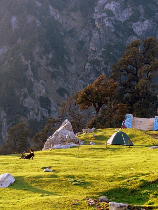 Looks like a good spot to camp