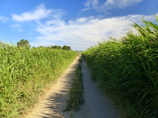 Not too bad for a gravel road