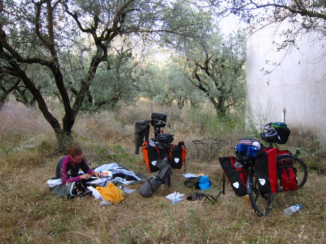 Olive grove campsite