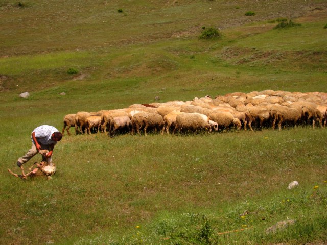 Who's next for a haircut?