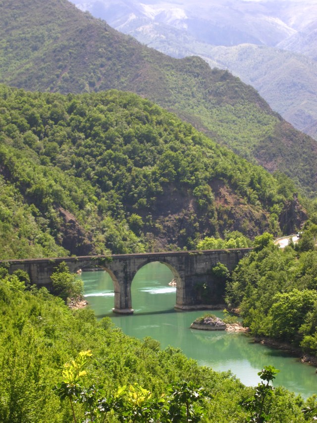 Looks a little too big to jump off