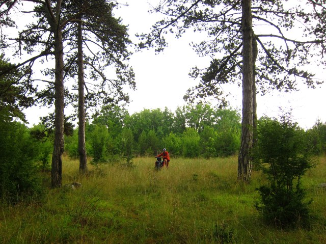 Looks like a good place to camp