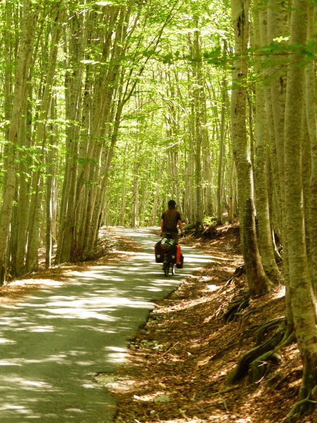 Nice start to the day