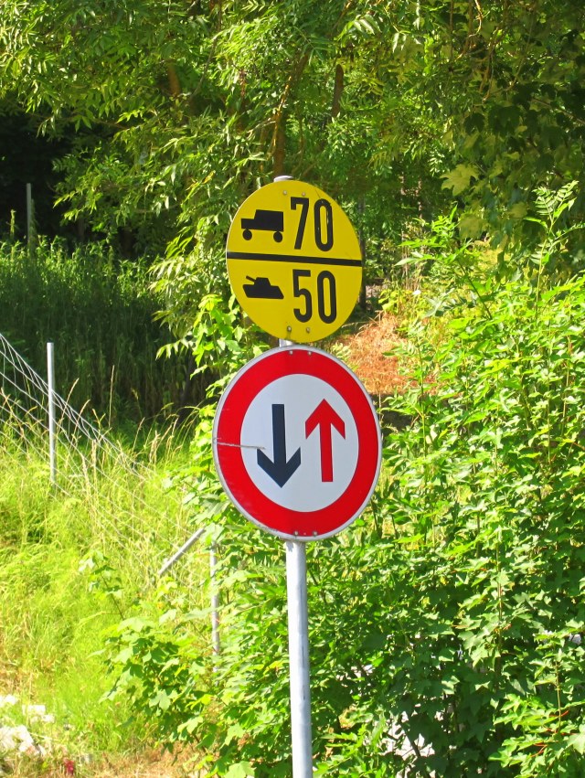 Too bad we left the tank at home