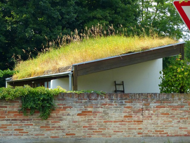 Super green roof