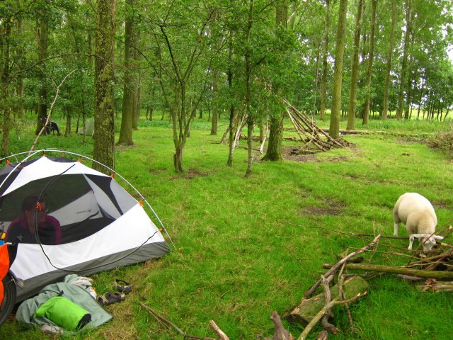 Our free campsite mates