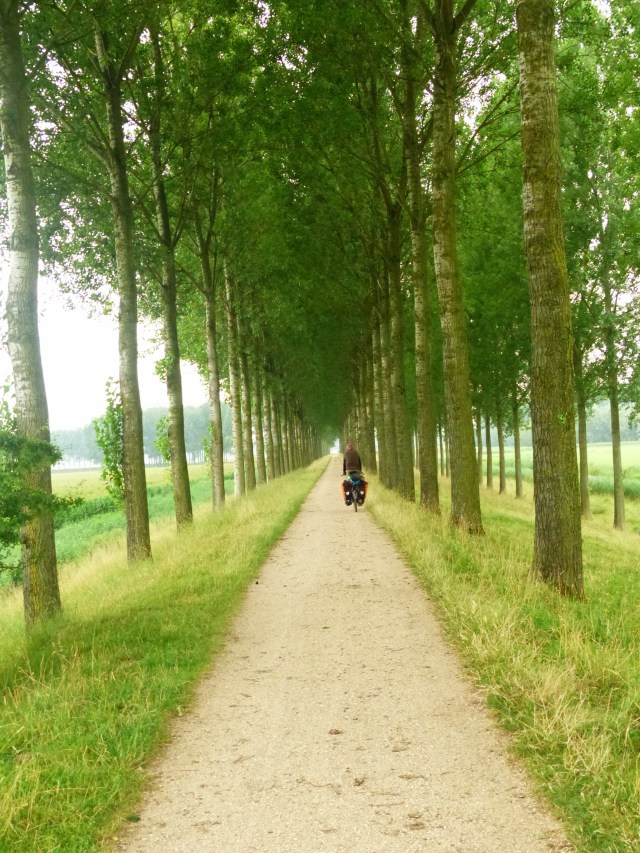 Nice lane an early morning bike ride