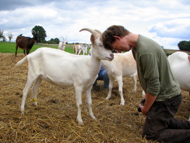 Chandler testing the thickness of his skull