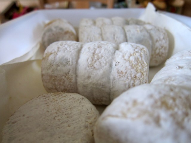 Delicious moldy cheese