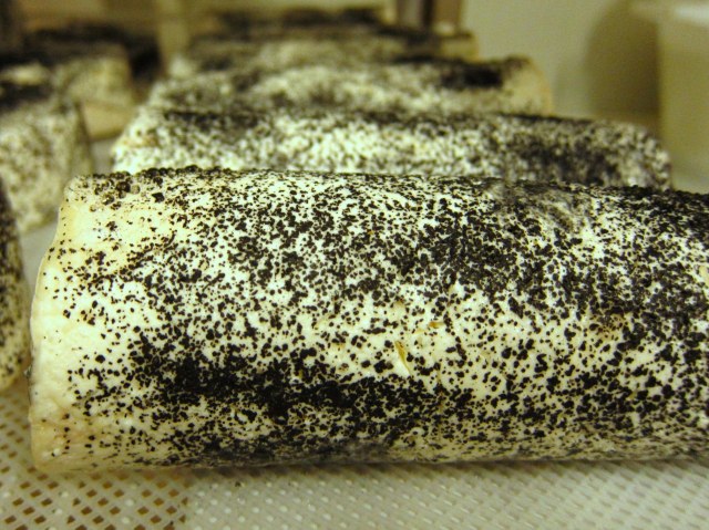 Buche covered in ash