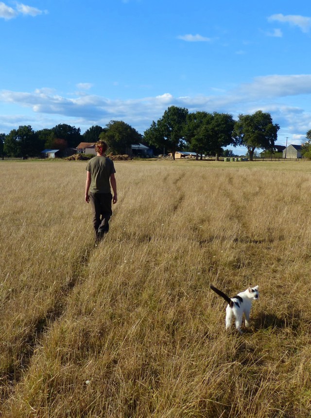 Chandler and his herding cat