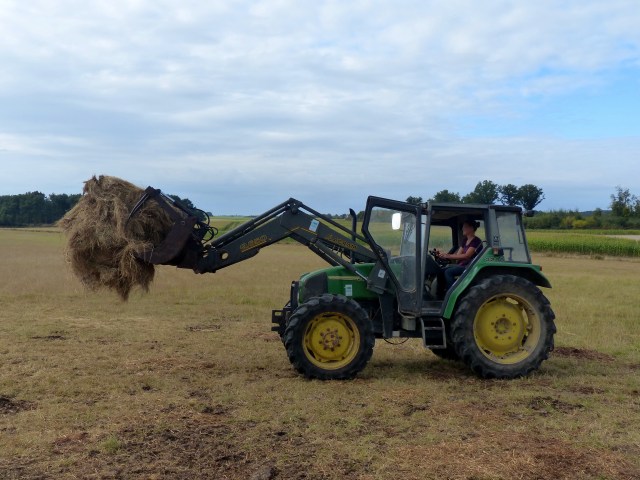Jenny and the tractor