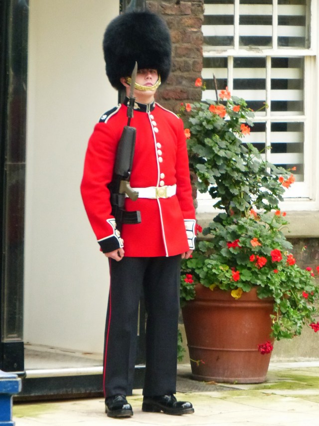 Palace guard