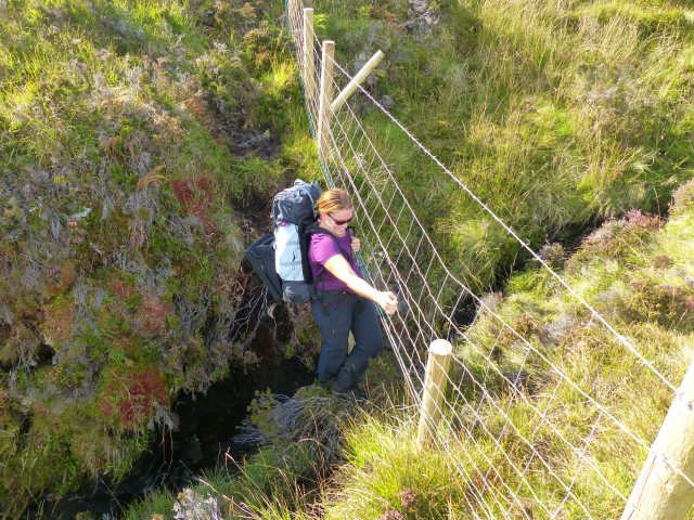 Help from a barbed wire fence